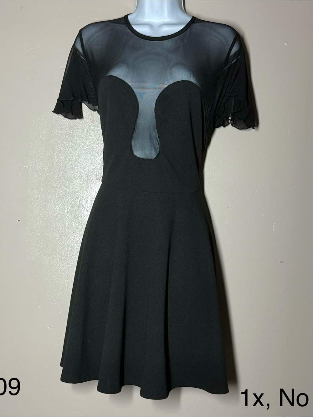 Black Sheer Yoke Fit-and-Flare Dress